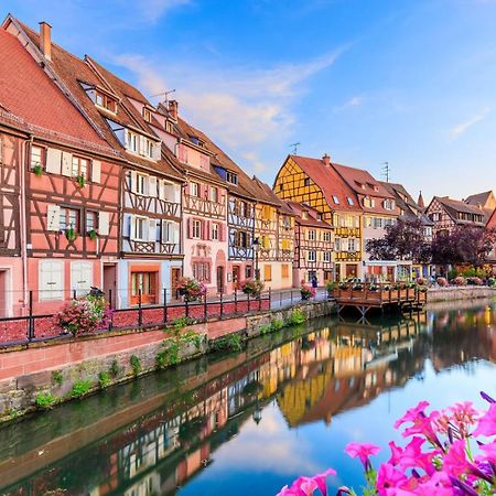 Appartement Le Cosy De La Petite Venise Colmar Zewnętrze zdjęcie